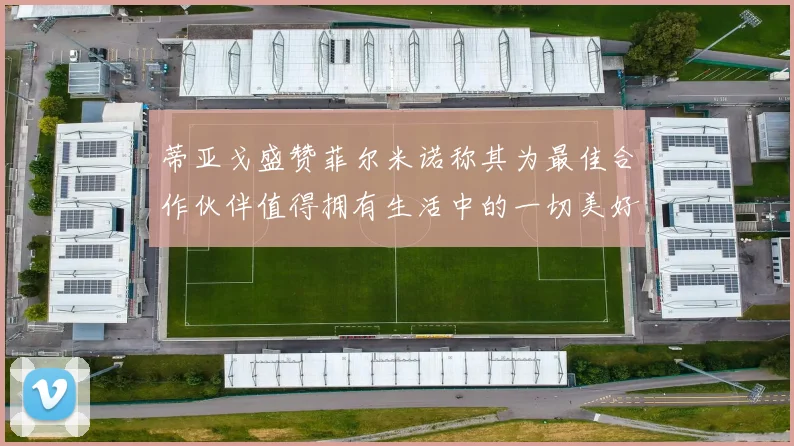 蒂亚戈盛赞菲尔米诺称其为最佳合作伙伴值得拥有生活中的一切美好