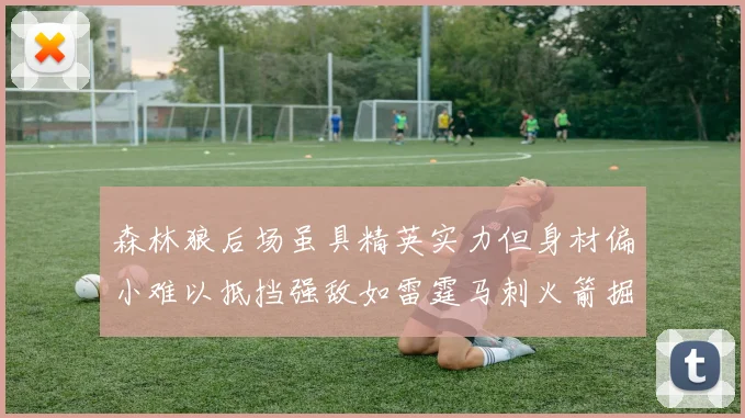 森林狼后场虽具精英实力但身材偏小难以抵挡强敌如雷霆马刺火箭掘金